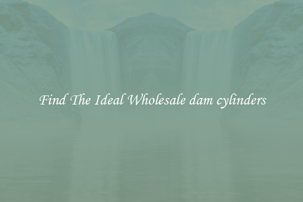 Find The Ideal Wholesale dam cylinders