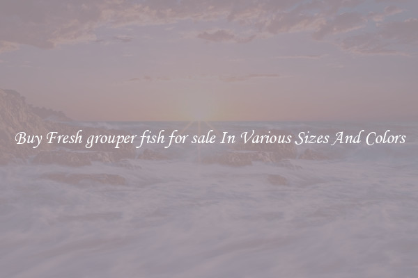 Buy Fresh grouper fish for sale In Various Sizes And Colors