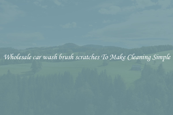 Wholesale car wash brush scratches To Make Cleaning Simple