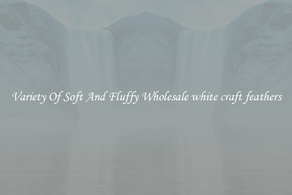 Variety Of Soft And Fluffy Wholesale white craft feathers