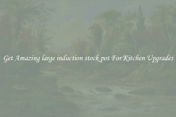 Get Amazing large induction stock pot For Kitchen Upgrades