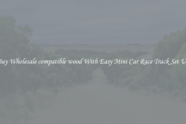 Buy Wholesale compatible wood With Easy Mini Car Race Track Set Up