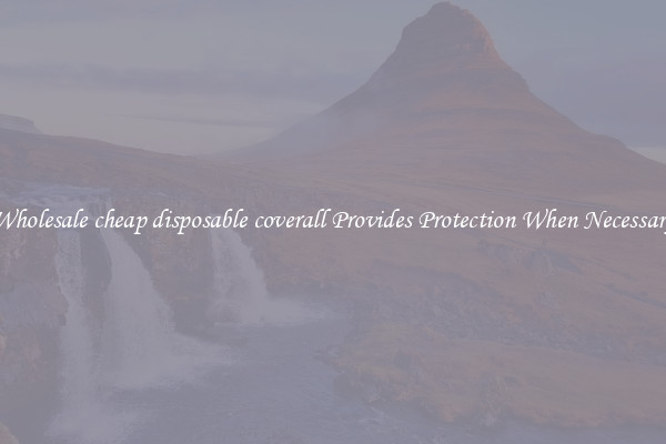 Wholesale cheap disposable coverall Provides Protection When Necessary