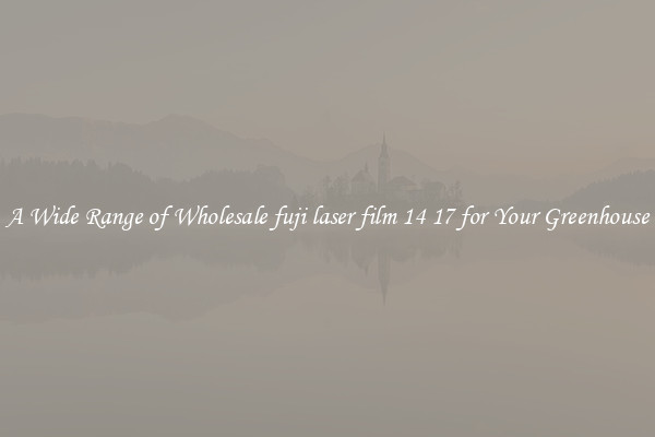 A Wide Range of Wholesale fuji laser film 14 17 for Your Greenhouse