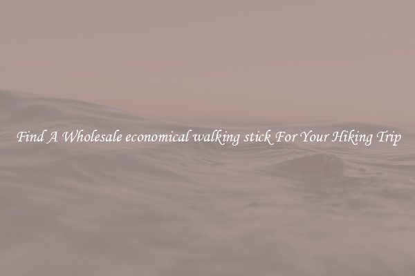 Find A Wholesale economical walking stick For Your Hiking Trip
