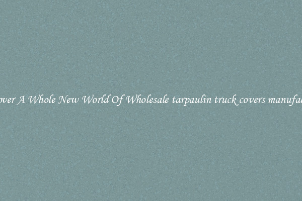 Discover A Whole New World Of Wholesale tarpaulin truck covers manufactures