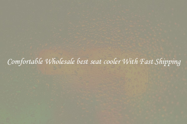 Comfortable Wholesale best seat cooler With Fast Shipping