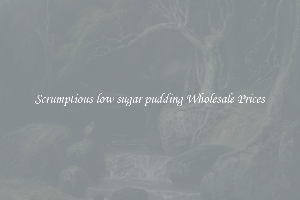 Scrumptious low sugar pudding Wholesale Prices