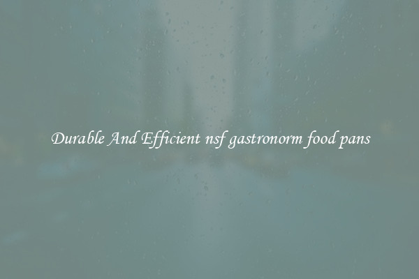 Durable And Efficient nsf gastronorm food pans