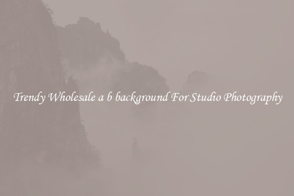 Trendy Wholesale a b background For Studio Photography