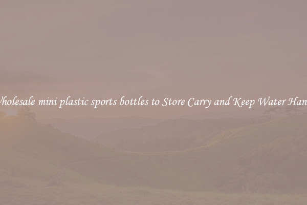 Wholesale mini plastic sports bottles to Store Carry and Keep Water Handy