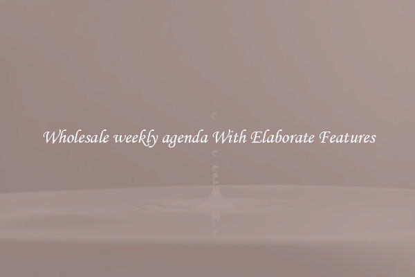 Wholesale weekly agenda With Elaborate Features