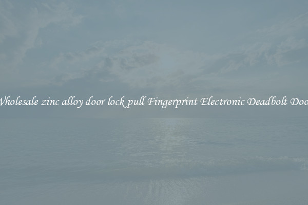 Wholesale zinc alloy door lock pull Fingerprint Electronic Deadbolt Door 