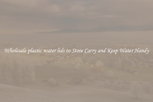 Wholesale plastic water lids to Store Carry and Keep Water Handy