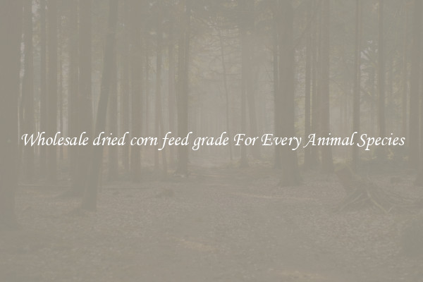 Wholesale dried corn feed grade For Every Animal Species
