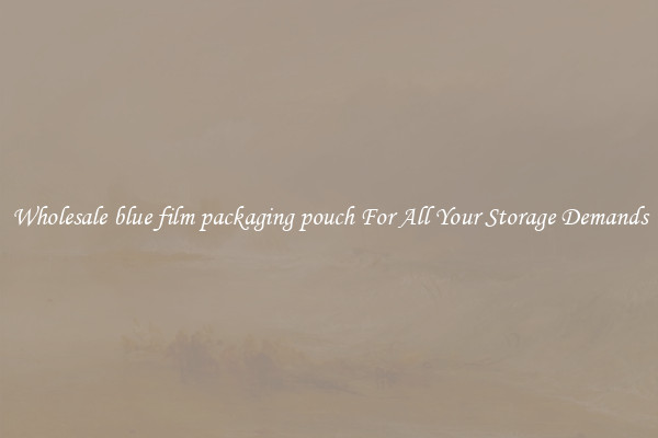 Wholesale blue film packaging pouch For All Your Storage Demands