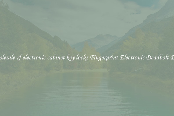 Wholesale rf electronic cabinet key locks Fingerprint Electronic Deadbolt Door 