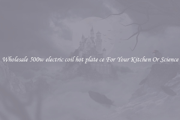 Wholesale 500w electric coil hot plate ce For Your Kitchen Or Science