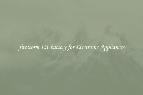 firestorm 12v battery for Electronic Appliances