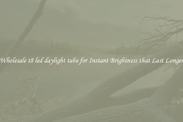 Wholesale t8 led daylight tube for Instant Brightness that Last Longer