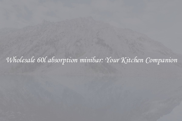 Wholesale 60l absorption minibar: Your Kitchen Companion
